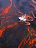 Gulf Oil Spill 'Could Go Years' If Not Dealt With