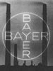 Bayer AG and the death of the birds