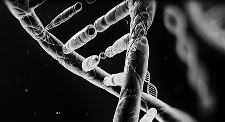 US Gov Backs Dangerous New Genetic Manipulation Approach