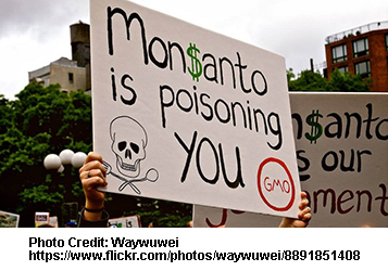 Monsanto Guilty Verdict Is Only Beginning