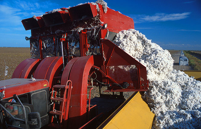 Washington FDA Says, ‘Let Them Eat Cotton’ 